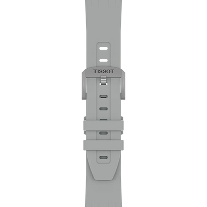 T1254171703100