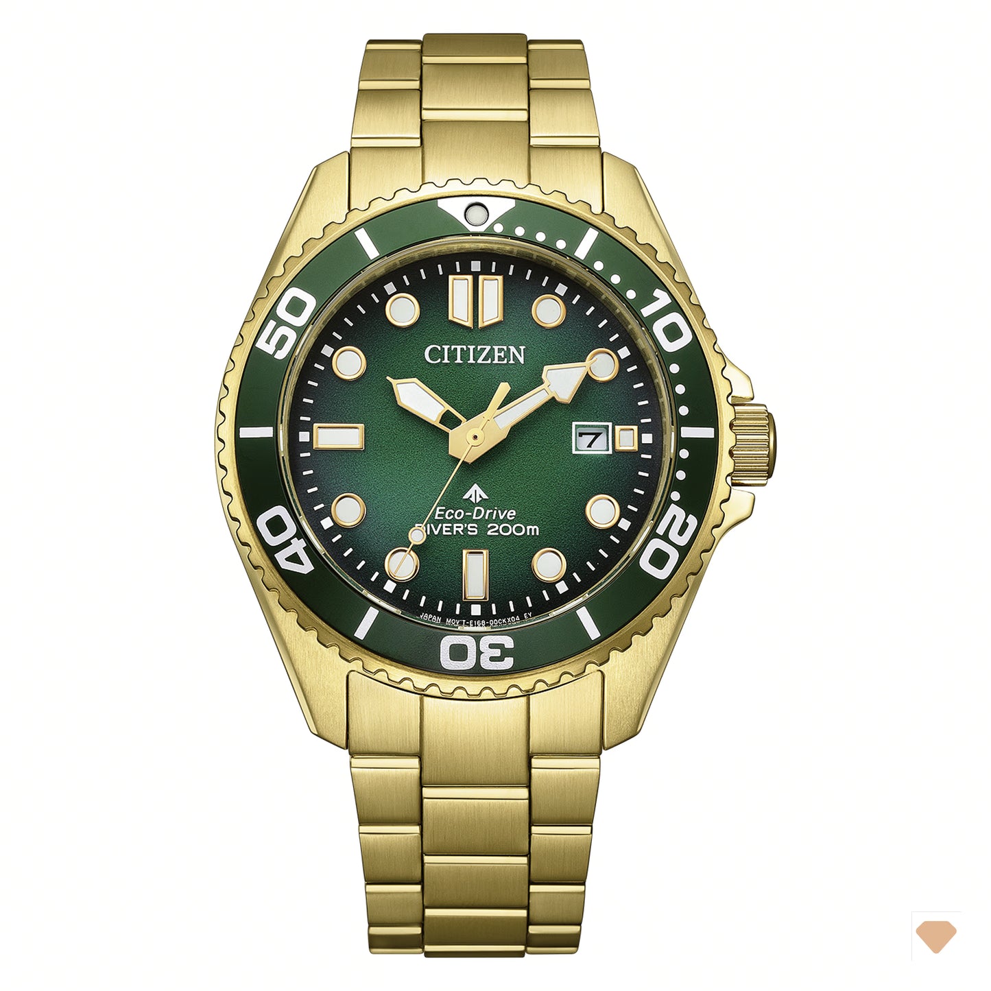 Citizen Promaster Eco-Drive Diver 200M BN0262-59W