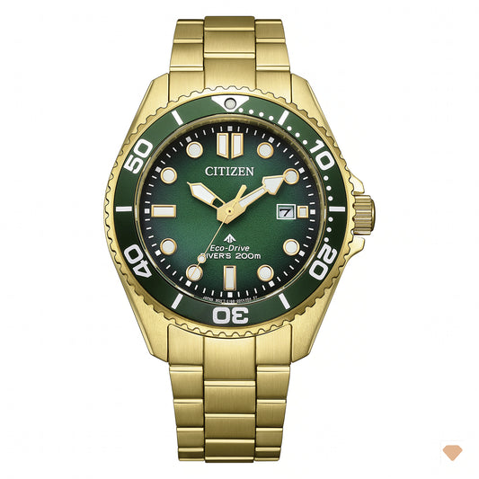 Citizen Promaster Eco-Drive Diver 200M BN0262-59W