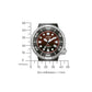Citizen Promaster Professional Diver 300 BN1024-01Z