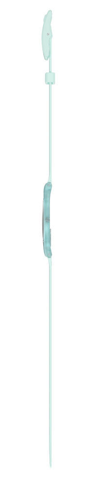 Swatch Sweet Mint SS08G100-S14