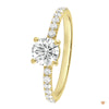 noën Sparkle Ring "medium" in 585/- gold with 6 diamonds
